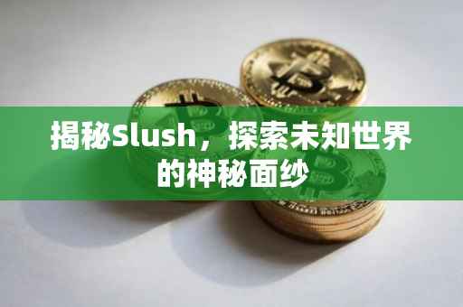 揭秘Slush，探索未知世界的神秘面纱