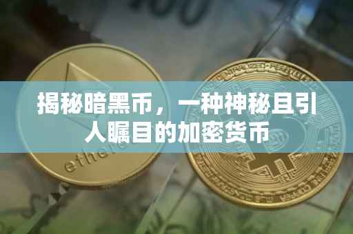 揭秘暗黑币，一种神秘且引人瞩目的加密货币
