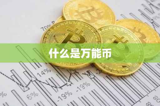什么是万能币