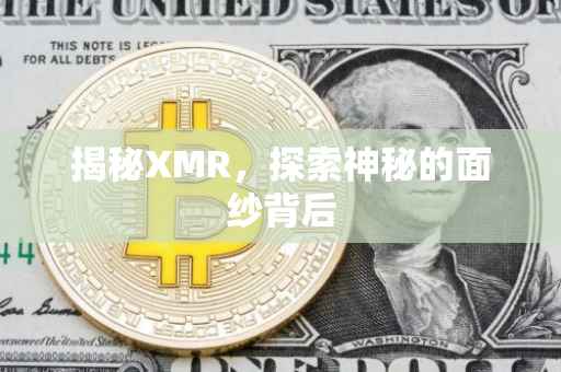 揭秘XMR，探索神秘的面纱背后