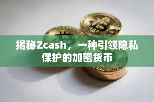 揭秘Zcash，一种引领隐私保护的加密货币