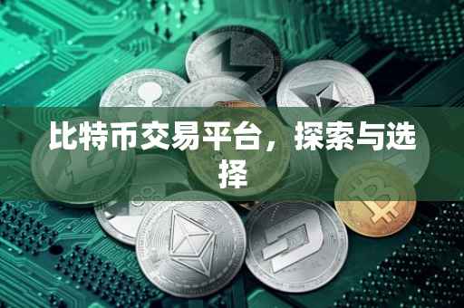 比特币交易平台，探索与选择
