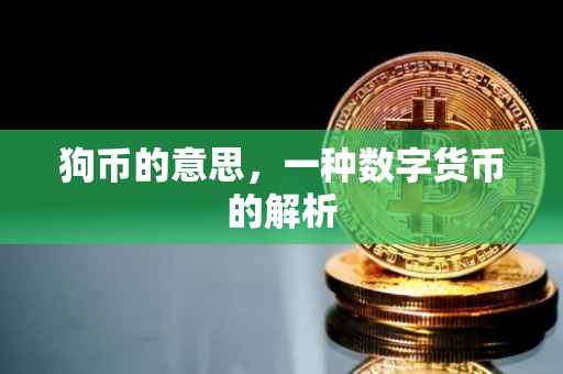 狗币的意思，一种数字货币的解析