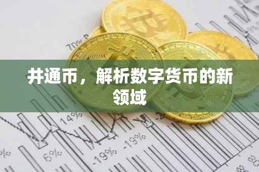 井通币，解析数字货币的新领域