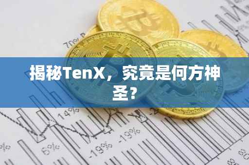 揭秘TenX，究竟是何方神圣？