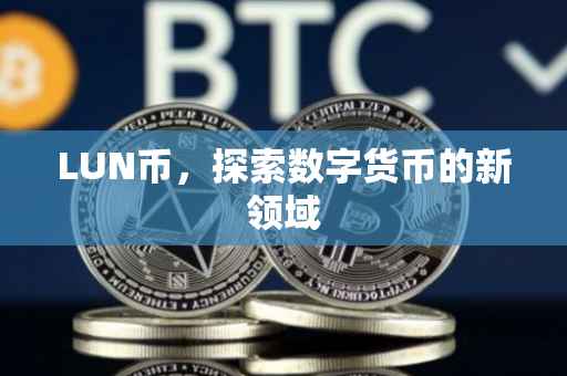 LUN币，探索数字货币的新领域