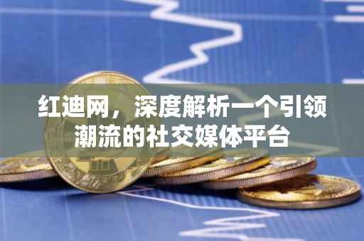 红迪网，深度解析一个引领潮流的社交媒体平台