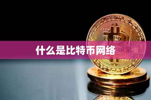什么是比特币网络