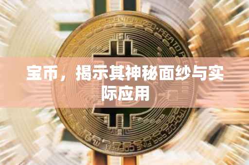 宝币，揭示其神秘面纱与实际应用