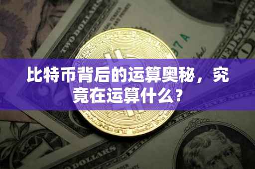 比特币背后的运算奥秘，究竟在运算什么？