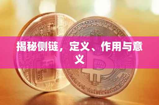 揭秘侧链，定义、作用与意义