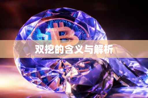 双挖的含义与解析