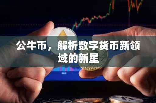 公牛币，解析数字货币新领域的新星