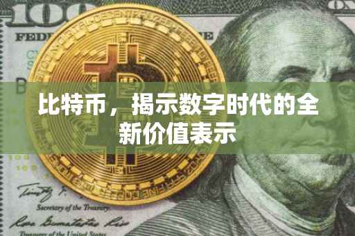 比特币，揭示数字时代的全新价值表示