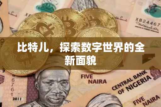 比特儿，探索数字世界的全新面貌
