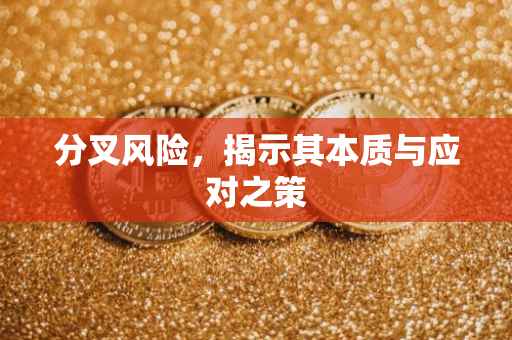 分叉风险，揭示其本质与应对之策