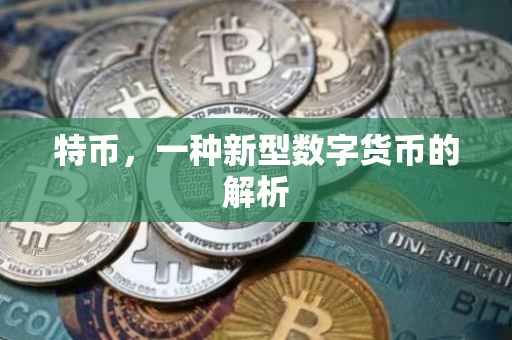 特币，一种新型数字货币的解析