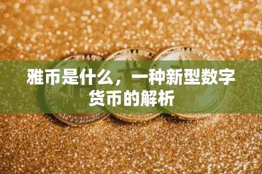 雅币是什么，一种新型数字货币的解析