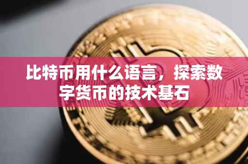 比特币用什么语言，探索数字货币的技术基石