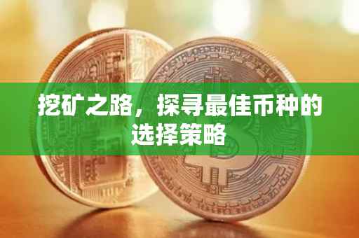 挖矿之路，探寻最佳币种的选择策略
