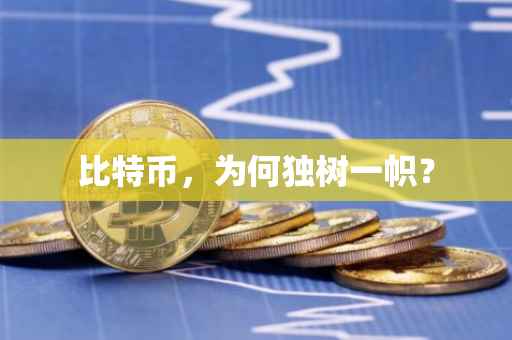 比特币，为何独树一帜？