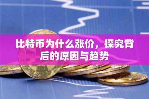 比特币为什么涨价，探究背后的原因与趋势