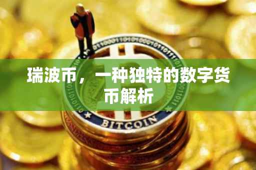 瑞波币，一种独特的数字货币解析