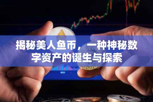 揭秘美人鱼币，一种神秘数字资产的诞生与探索