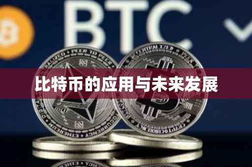 比特币的应用与未来发展
