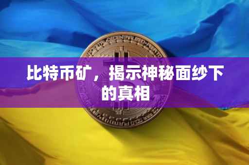 比特币矿，揭示神秘面纱下的真相