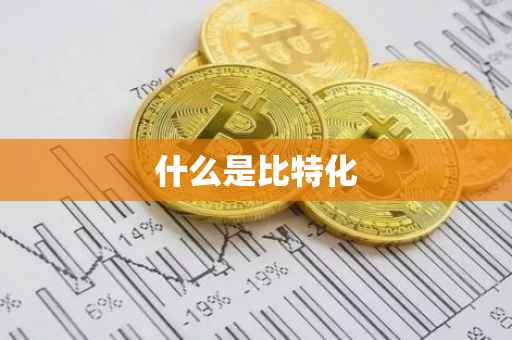 什么是比特化