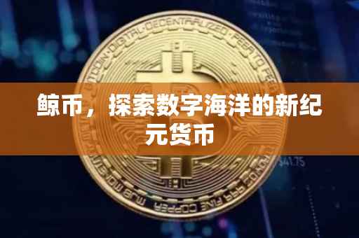 鲸币，探索数字海洋的新纪元货币
