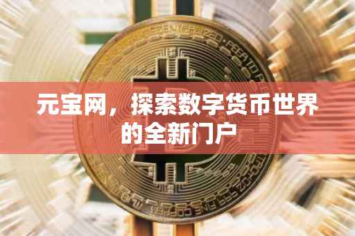元宝网，探索数字货币世界的全新门户