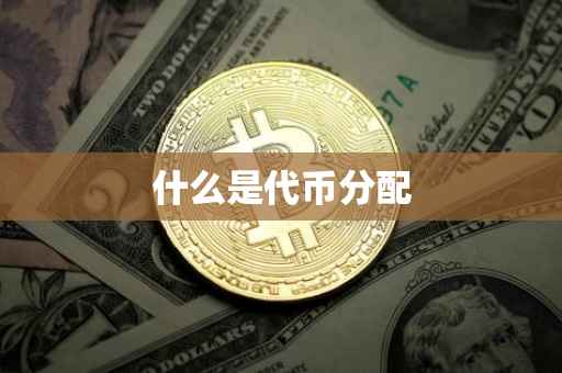 什么是代币分配
