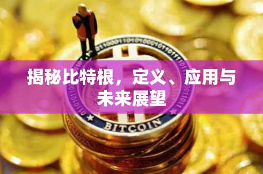 揭秘比特根，定义、应用与未来展望