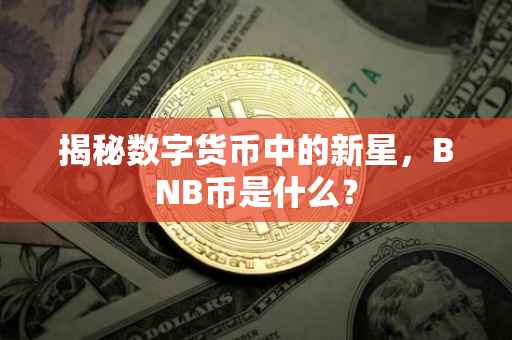 揭秘数字货币中的新星，BNB币是什么？