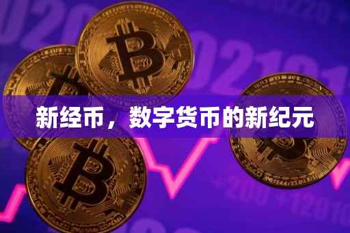新经币，数字货币的新纪元