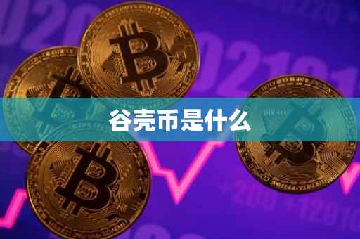 谷壳币是什么