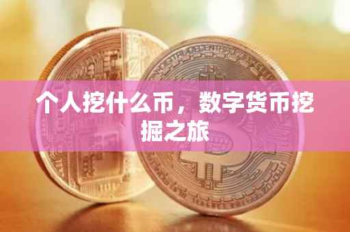 个人挖什么币，数字货币挖掘之旅