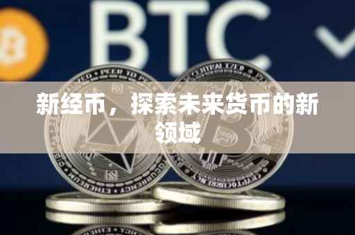 新经币，探索未来货币的新领域
