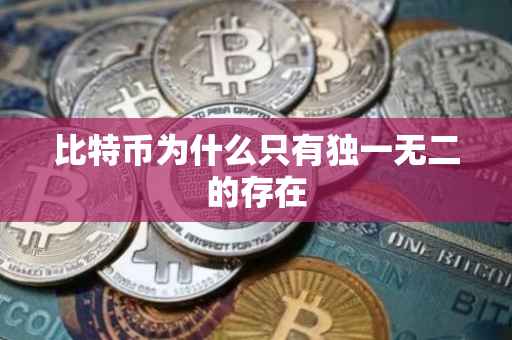比特币为什么只有独一无二的存在