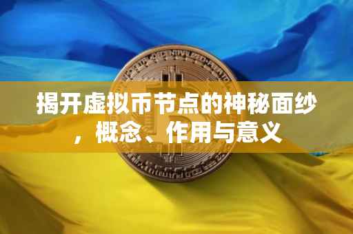 揭开虚拟币节点的神秘面纱，概念、作用与意义