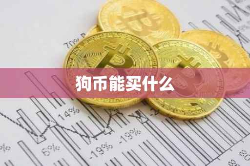 狗币能买什么