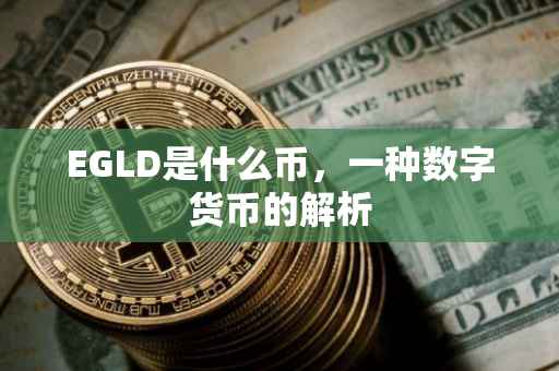 EGLD是什么币，一种数字货币的解析
