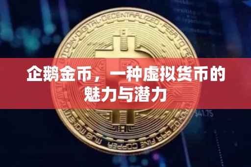 企鹅金币，一种虚拟货币的魅力与潜力