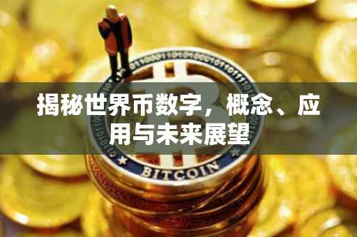 揭秘世界币数字，概念、应用与未来展望