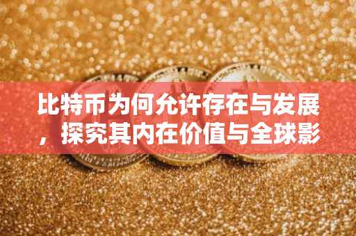 比特币为何允许存在与发展，探究其内在价值与全球影响