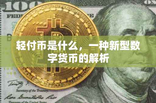 轻付币是什么，一种新型数字货币的解析