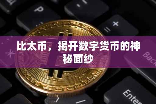 比太币，揭开数字货币的神秘面纱