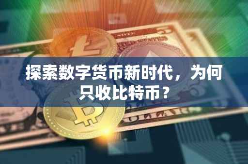 探索数字货币新时代，为何只收比特币？